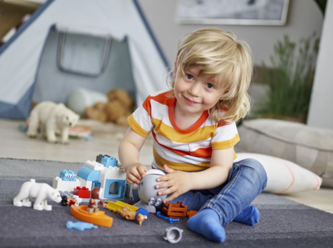 LEGO&reg; 10803 Arctic