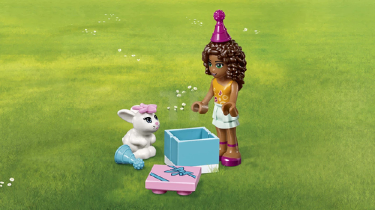 LEGO&reg; 41110 Birthday Party