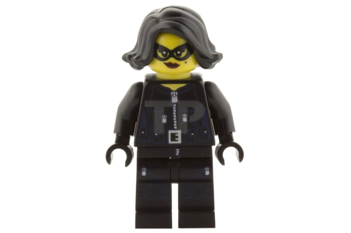 LEGO&reg; col242 Juwelendief (zonder accessoires)