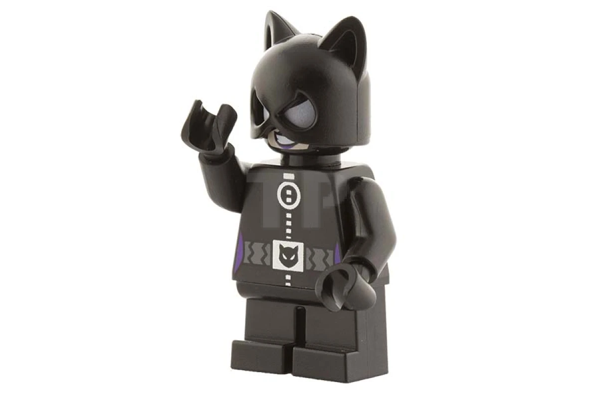 LEGO&reg; sh0243 Catwoman