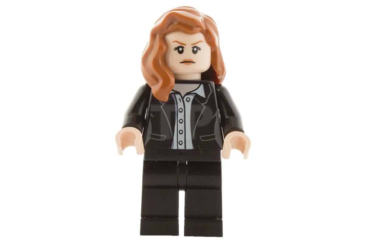 LEGO&reg; sh0225 Lois Lane