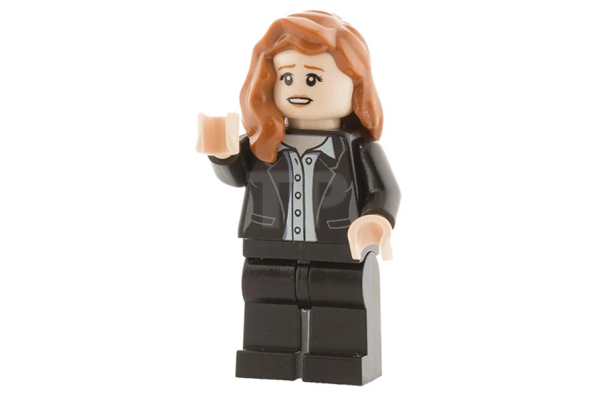 LEGO&reg; sh0225 Lois Lane