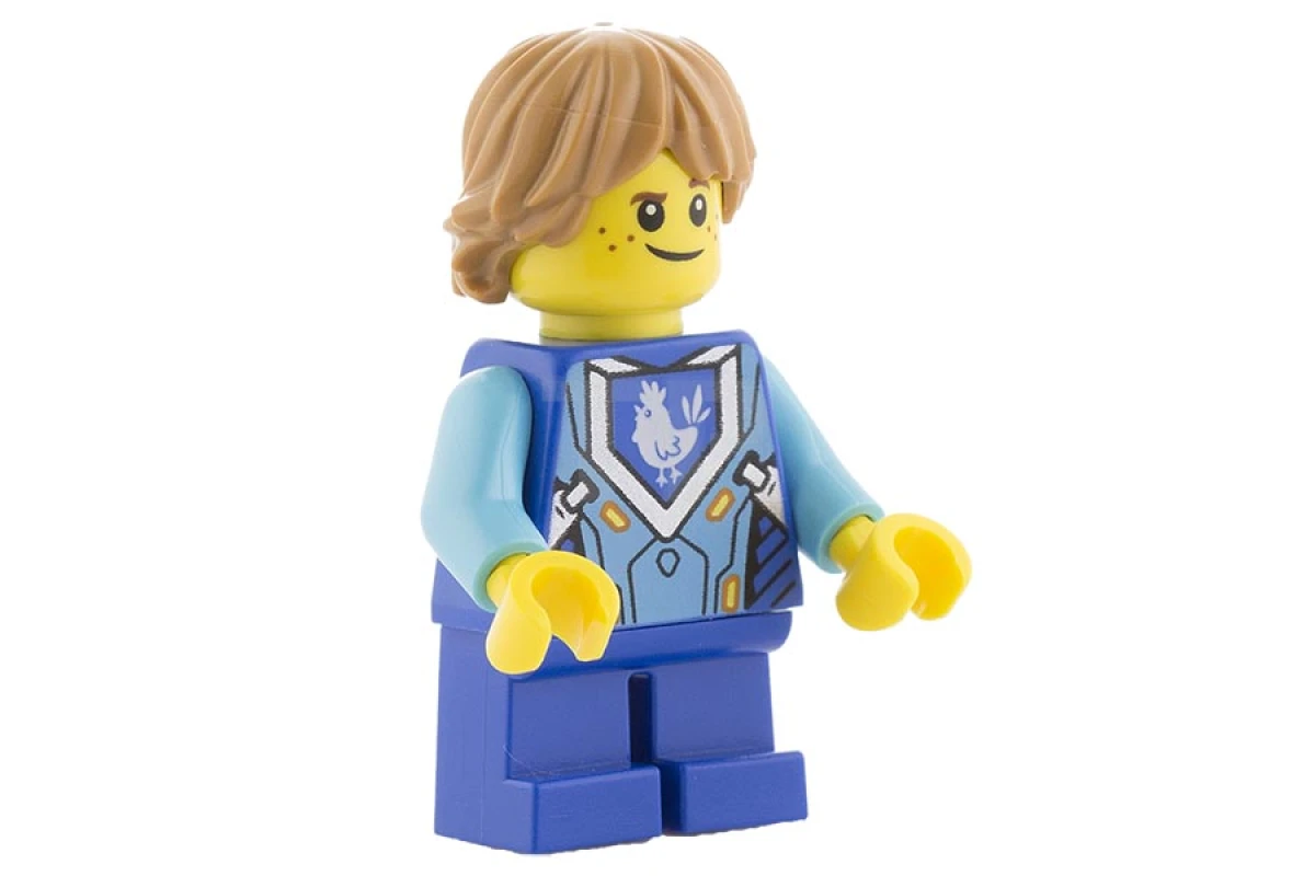 LEGO&reg; nex036 Robin