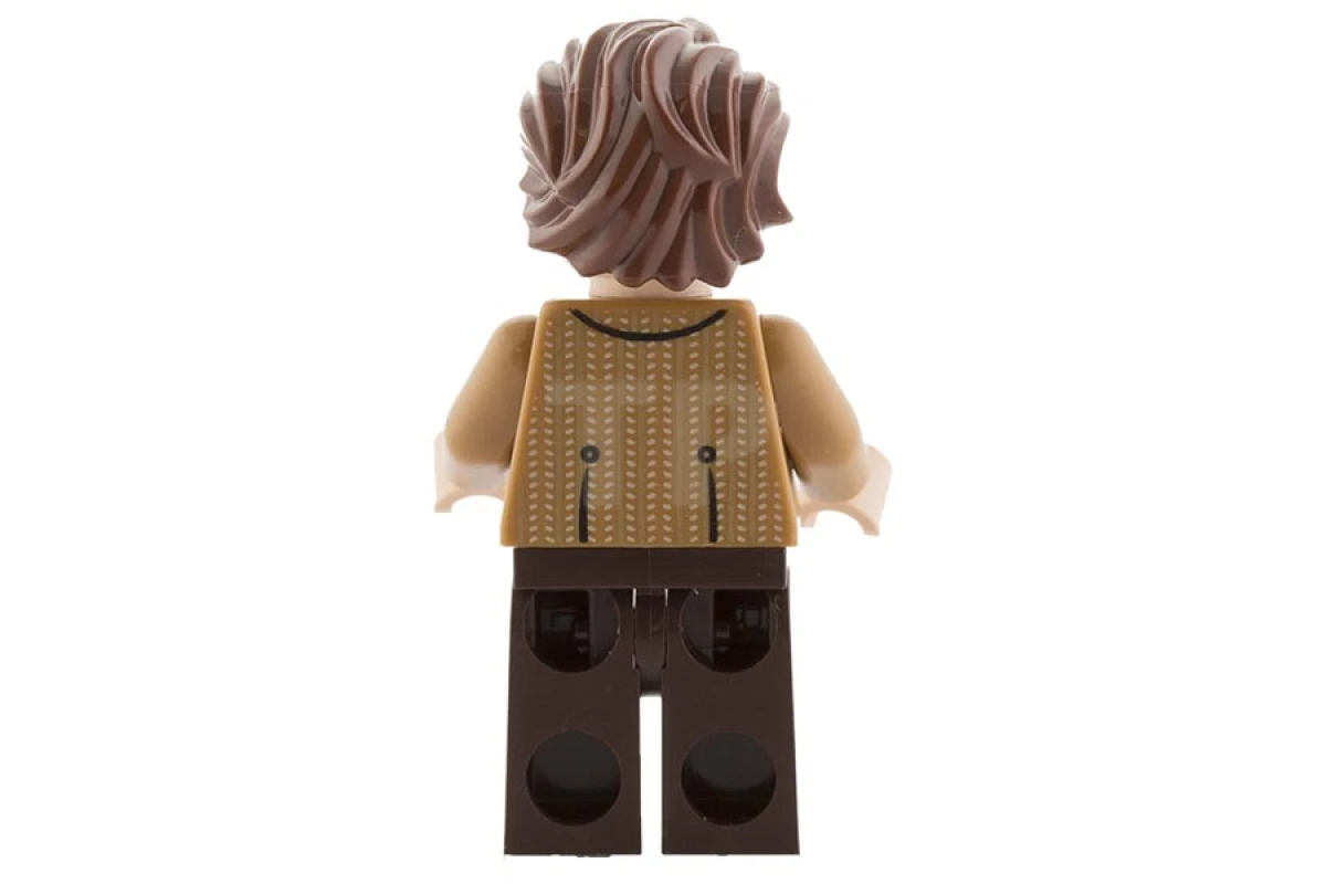 LEGO&reg; idea020 Der Elfte Doktor
