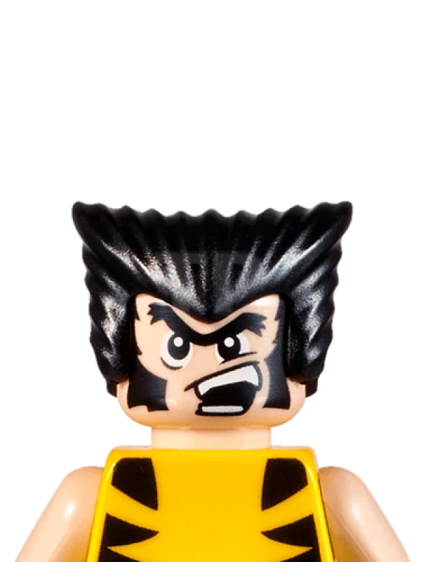 LEGO&reg; 76073 Mighty Micros: Wolverine vs. Magneto