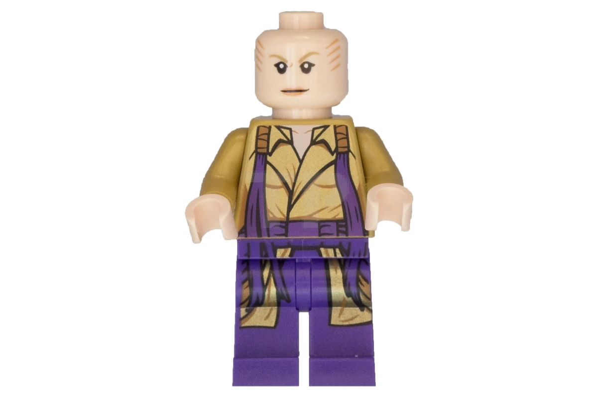 LEGO&reg; sh0298 The Ancient One