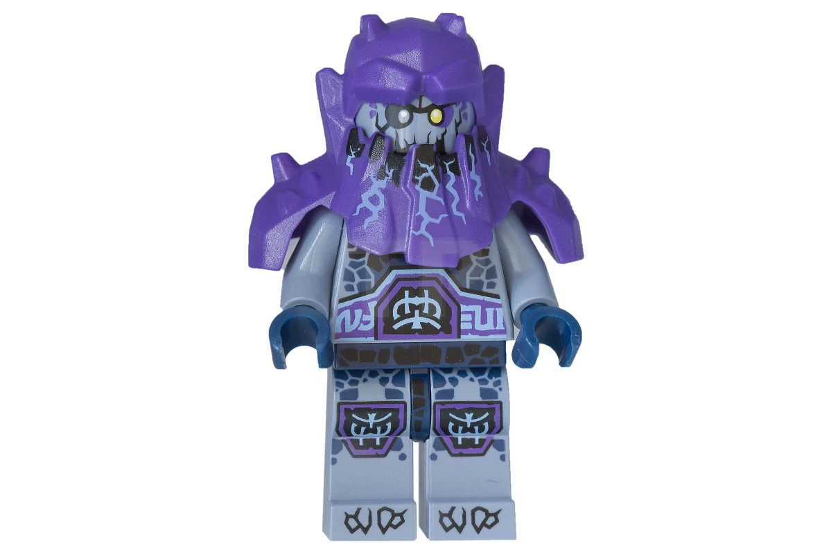 LEGO&reg; nex071 Roog