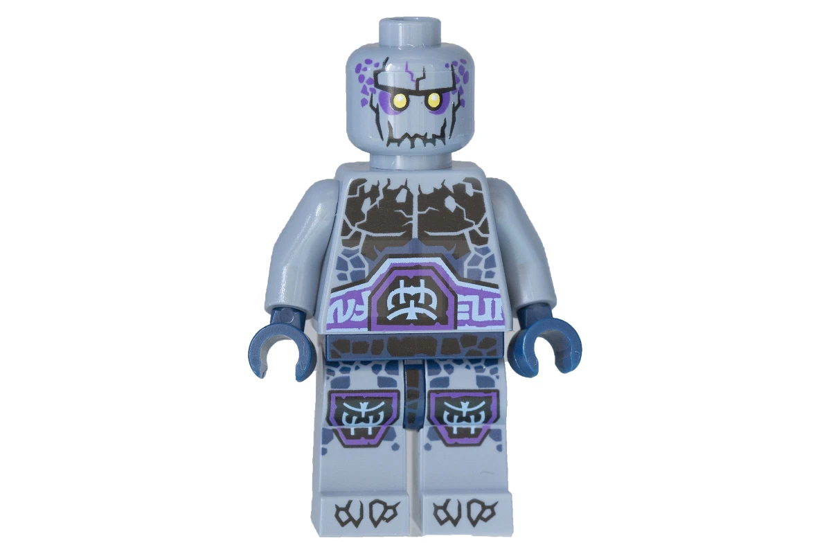 LEGO&reg; nex071 Roog