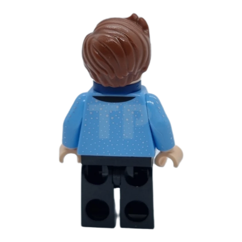 LEGO&reg; sh0325 Dick Grayson