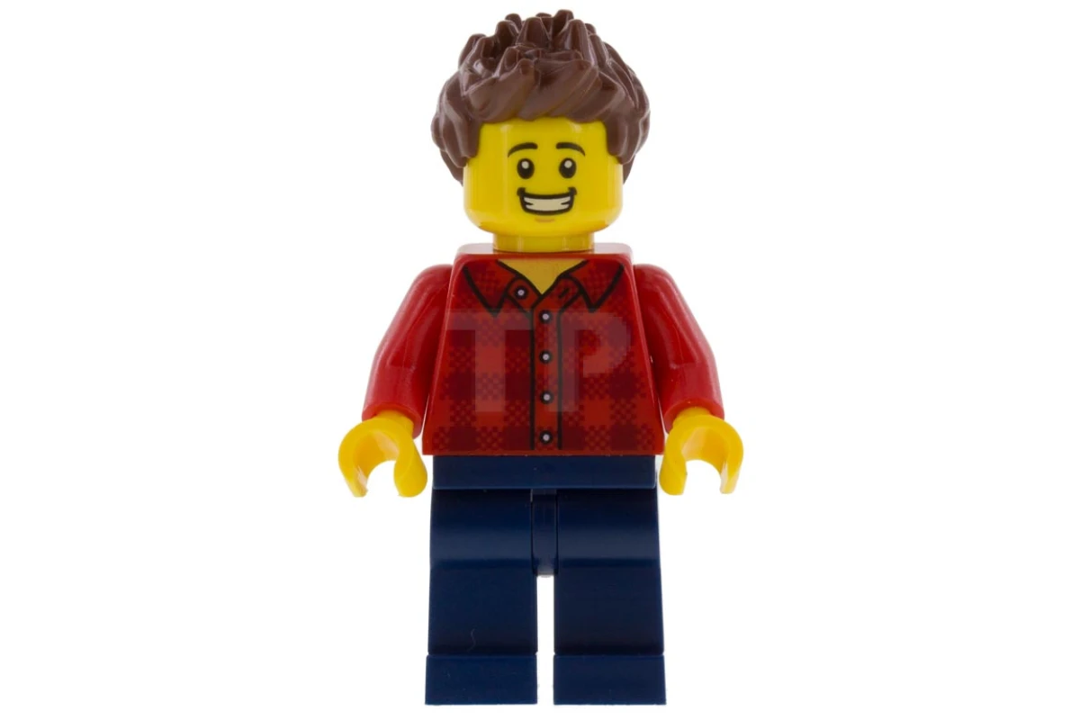 LEGO&reg; sc047 Race Fan