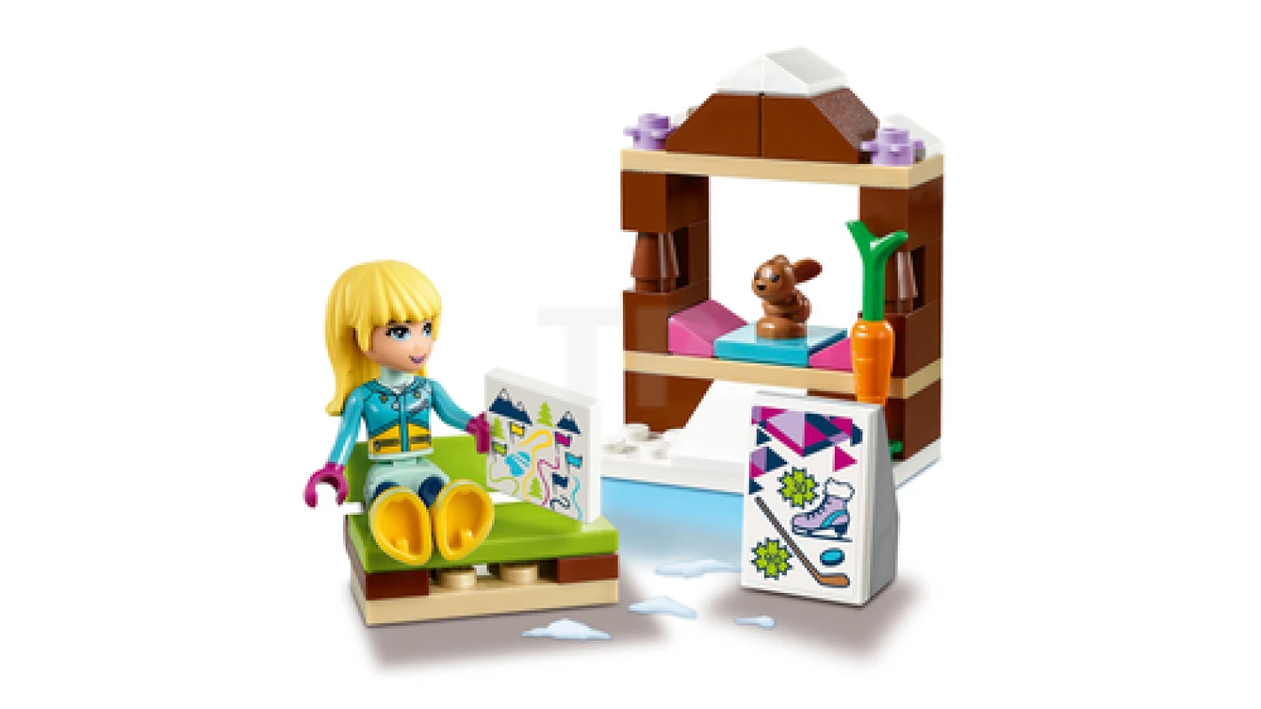 LEGO&reg; 41322 Snow Resort Ice Rink