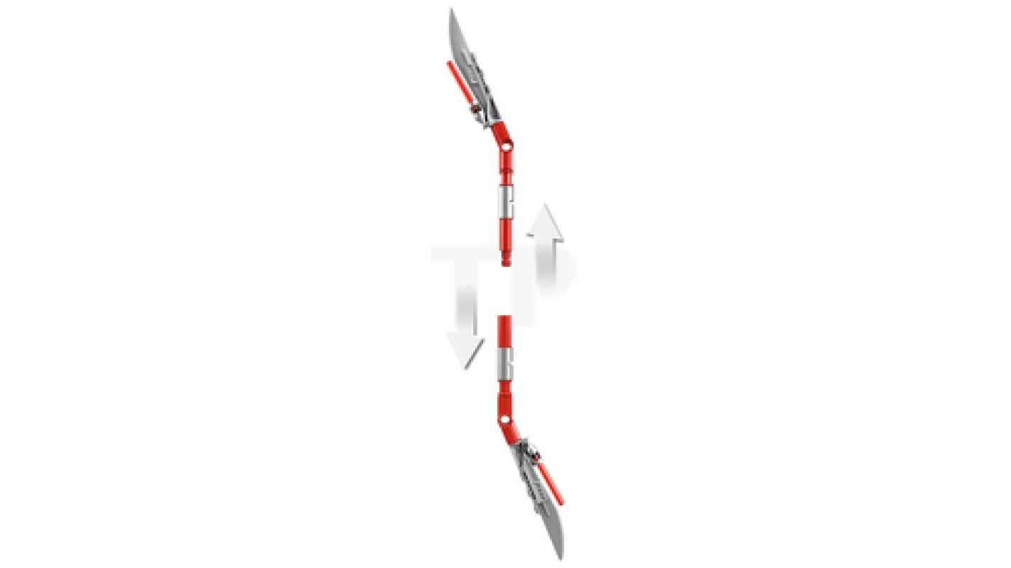 LEGO&reg; 75529 Elite Praetorian Guard