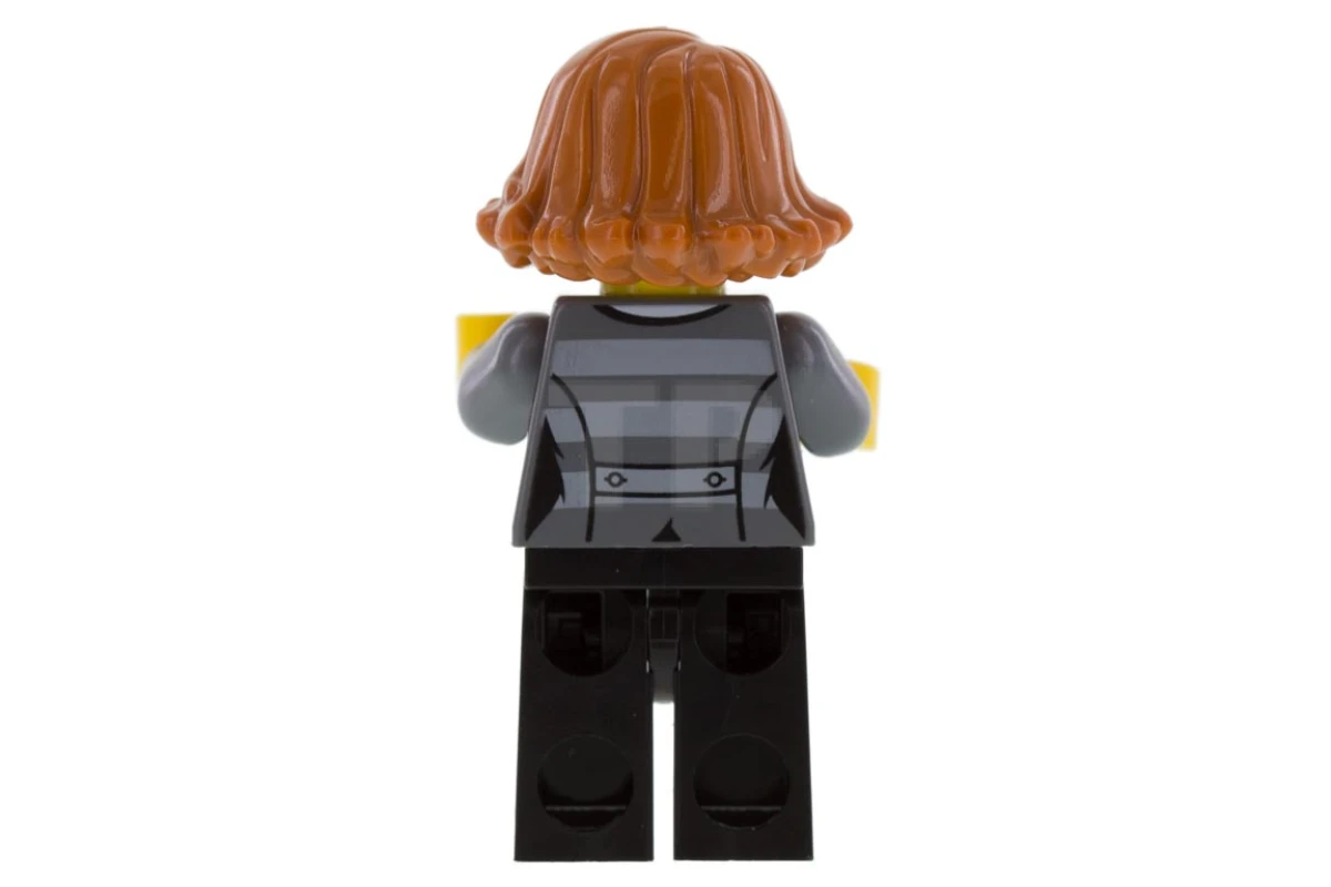 LEGO&reg; cty0753 Gaunerin