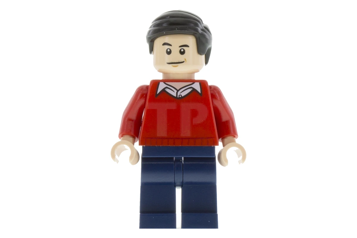 LEGO&reg; sh0236 Dick Grayson