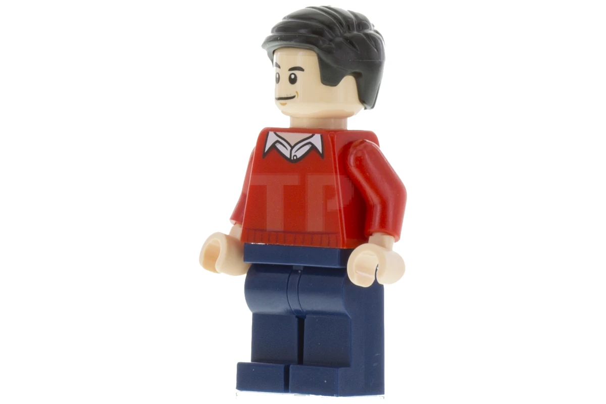 LEGO&reg; sh0236 Dick Grayson