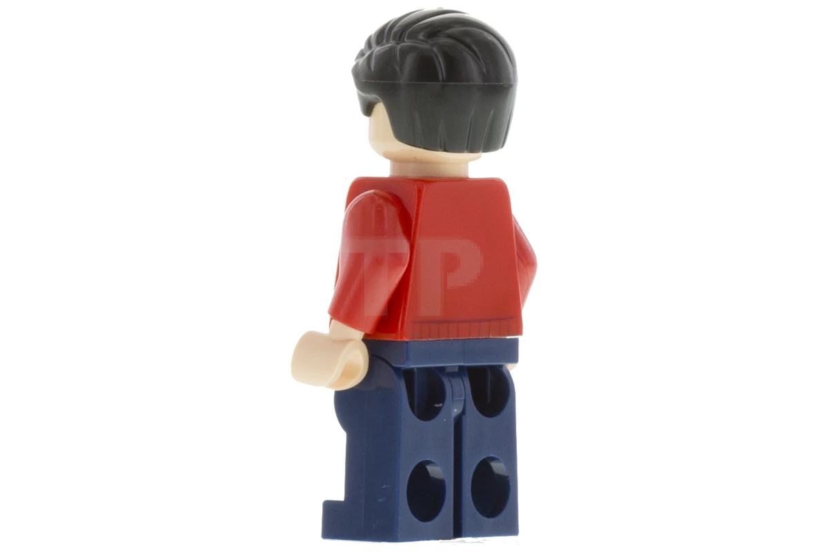 LEGO&reg; sh0236 Dick Grayson