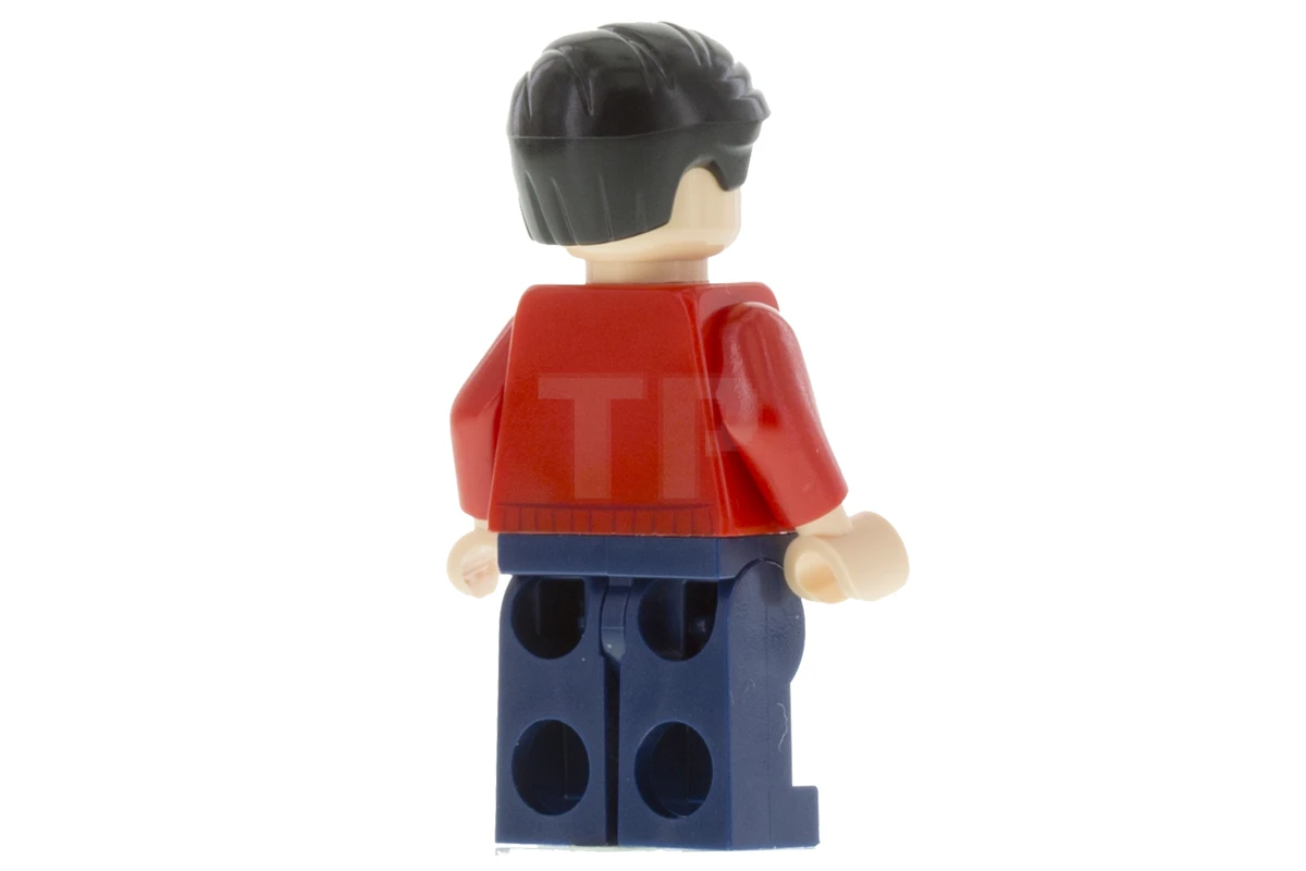 LEGO&reg; sh0236 Dick Grayson