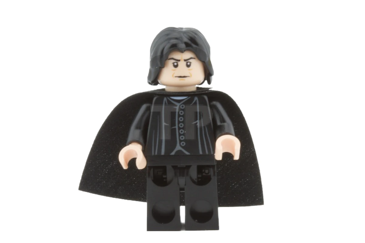 LEGO&reg; hp100 Profesor Snape