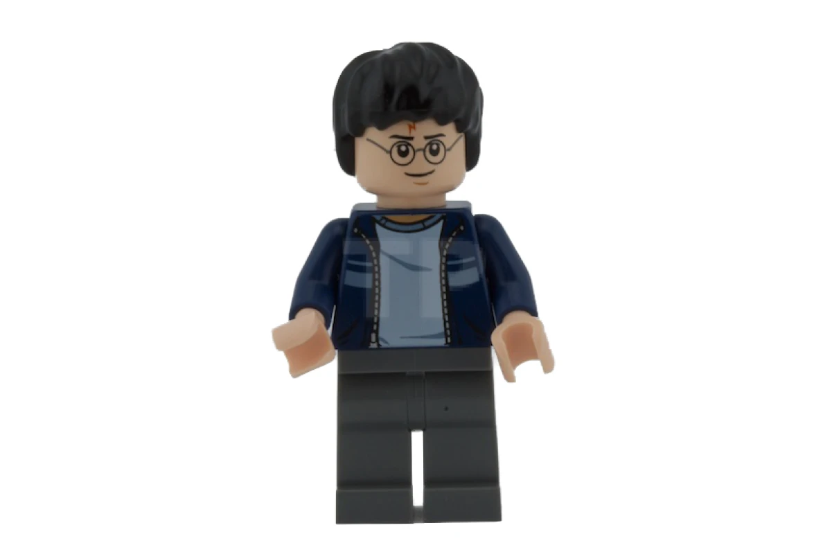 LEGO&reg; hp116 Harry Potter