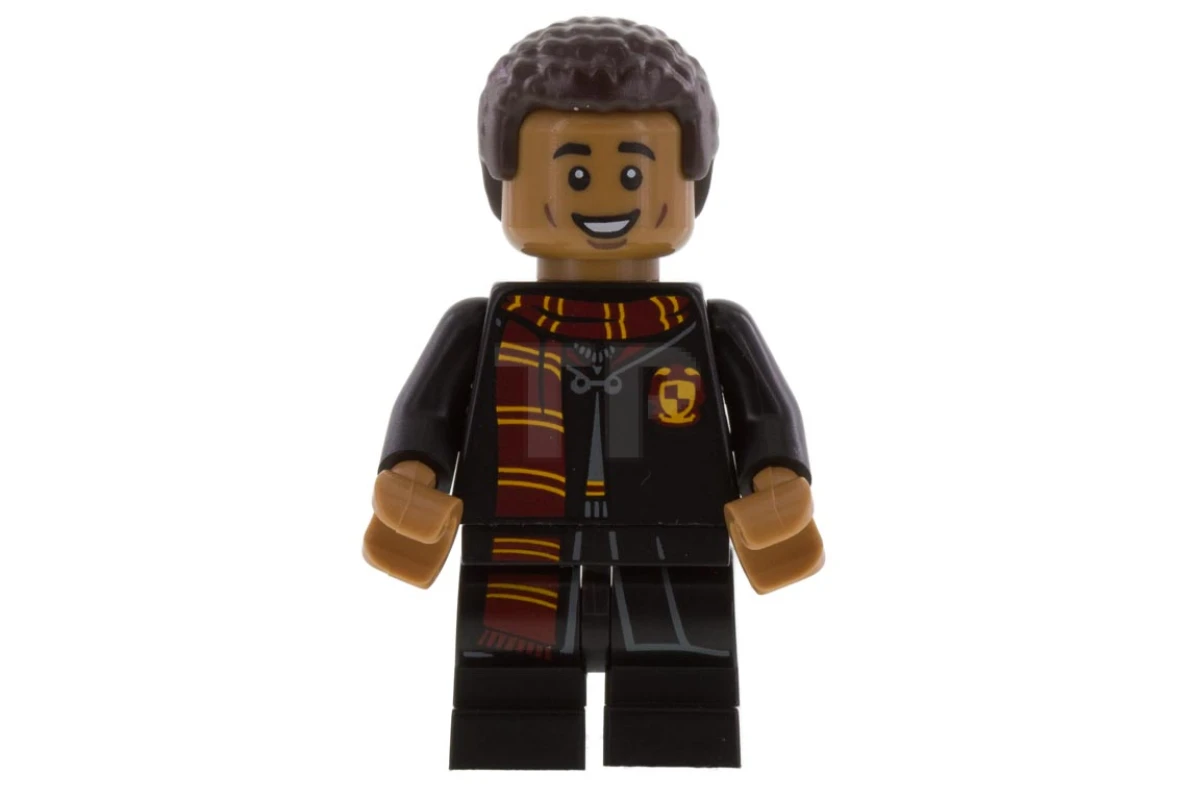 LEGO&reg; colhp08 Dean Thomas