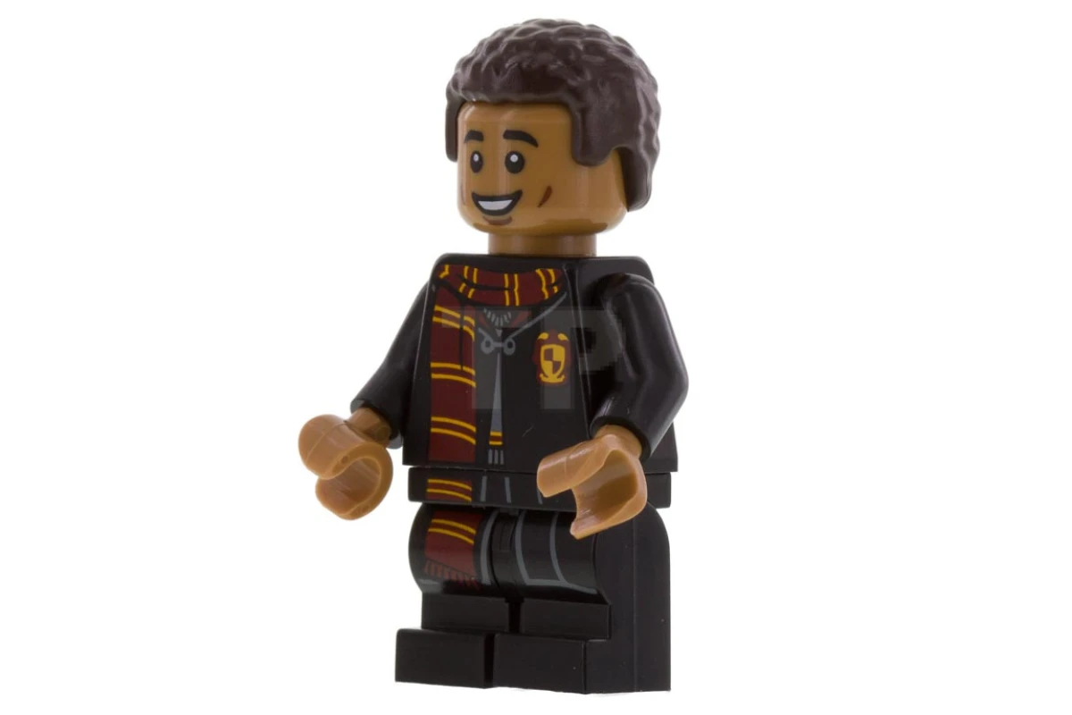 LEGO&reg; colhp08 Dean Thomas