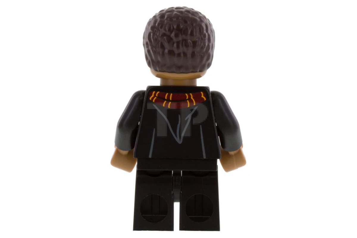 LEGO&reg; colhp08 Dean Thomas