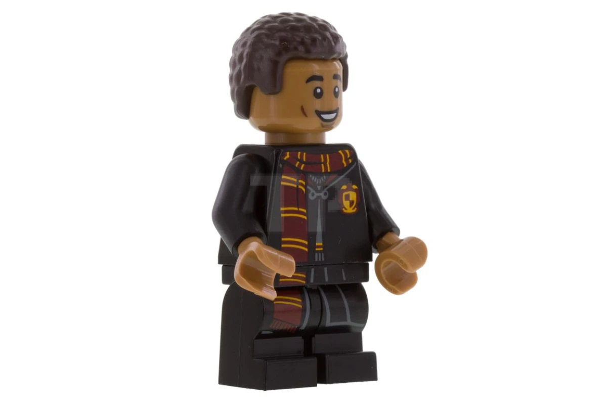 LEGO&reg; colhp08 Dean Thomas