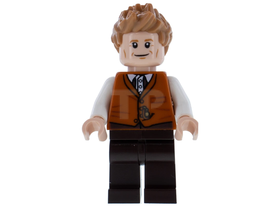 LEGO&reg; hp165 Newt Scamander