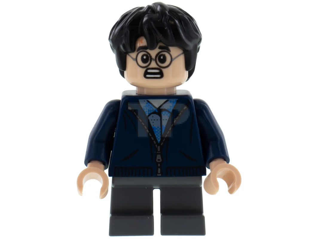 LEGO&reg; hp153 Harry Potter