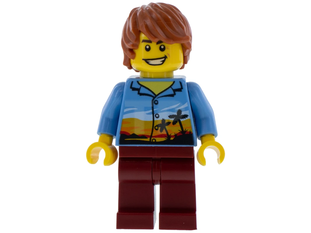LEGO&reg; cty0948 Plane Passenger
