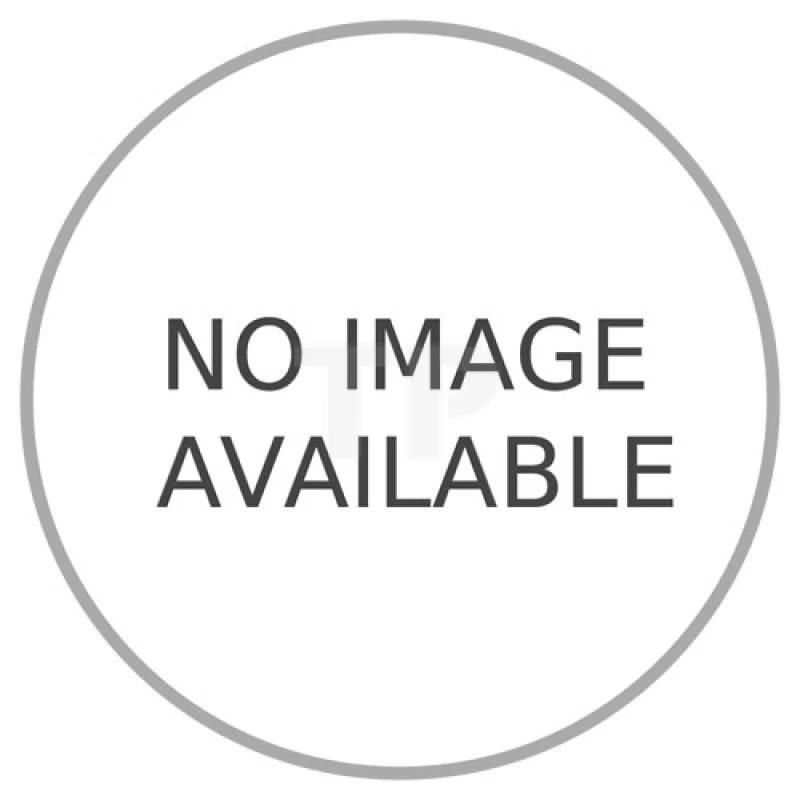 LEGO&reg; 40367 Lady Liberty