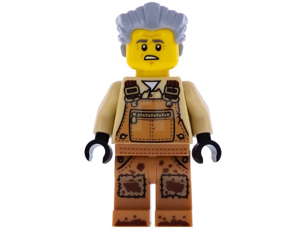 LEGO&reg; hs006 Mr. Branson