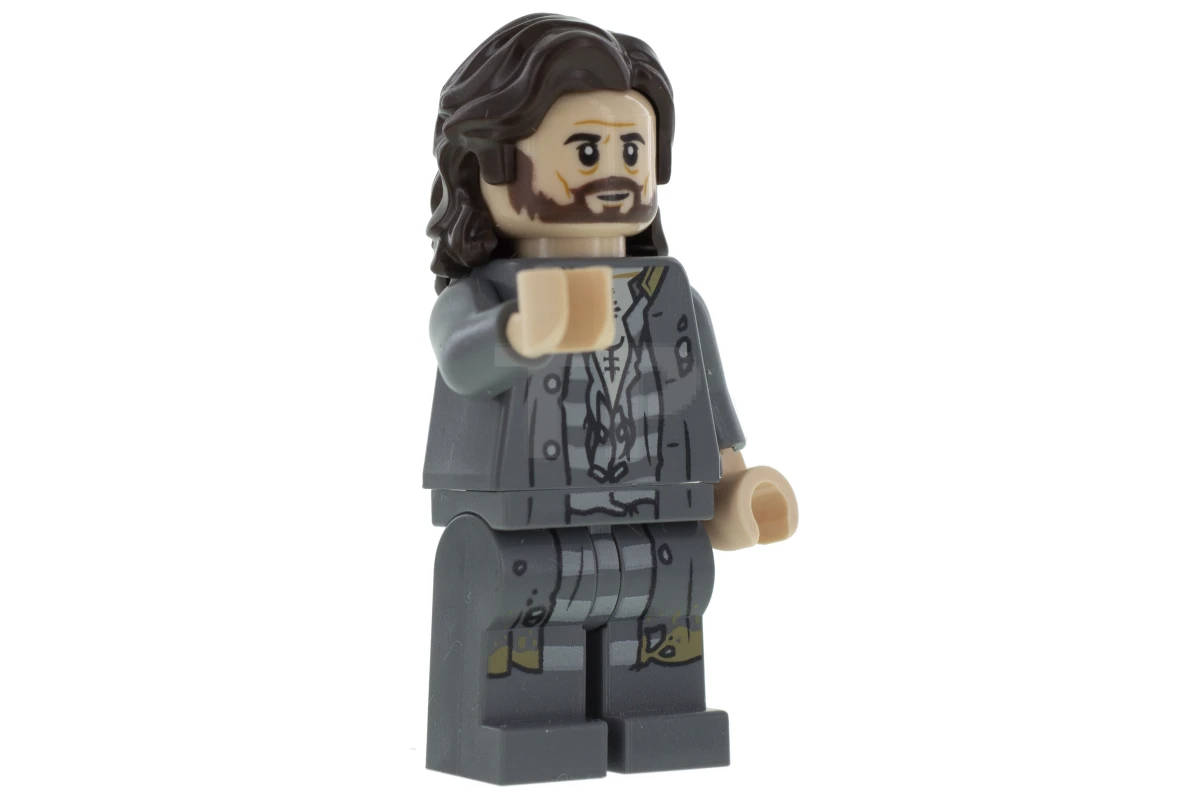 LEGO&reg; hp174 Sirius Black