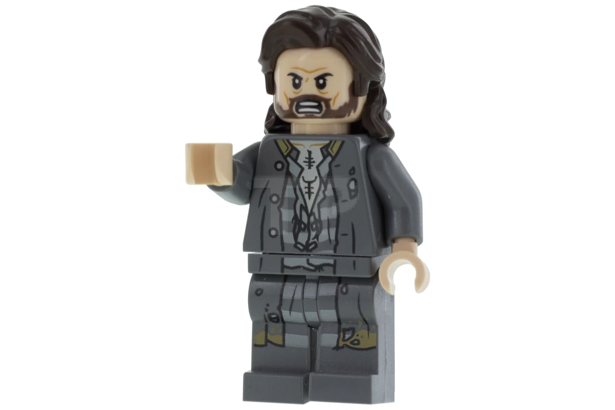 LEGO&reg; hp174 Sirius Black
