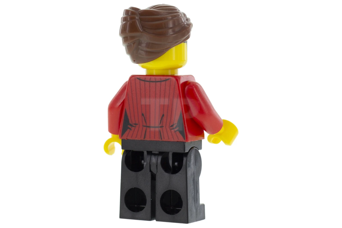 LEGO&reg; cty1045 Reporter