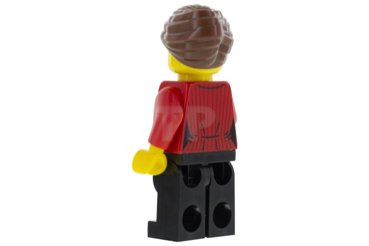 LEGO&reg; cty1045 Reporter