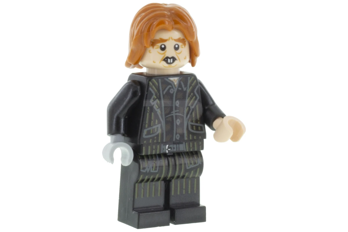 LEGO&reg; hp196 Peter Pettigrew