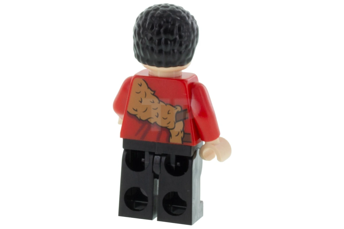 LEGO&reg; hp189 Viktor Krum