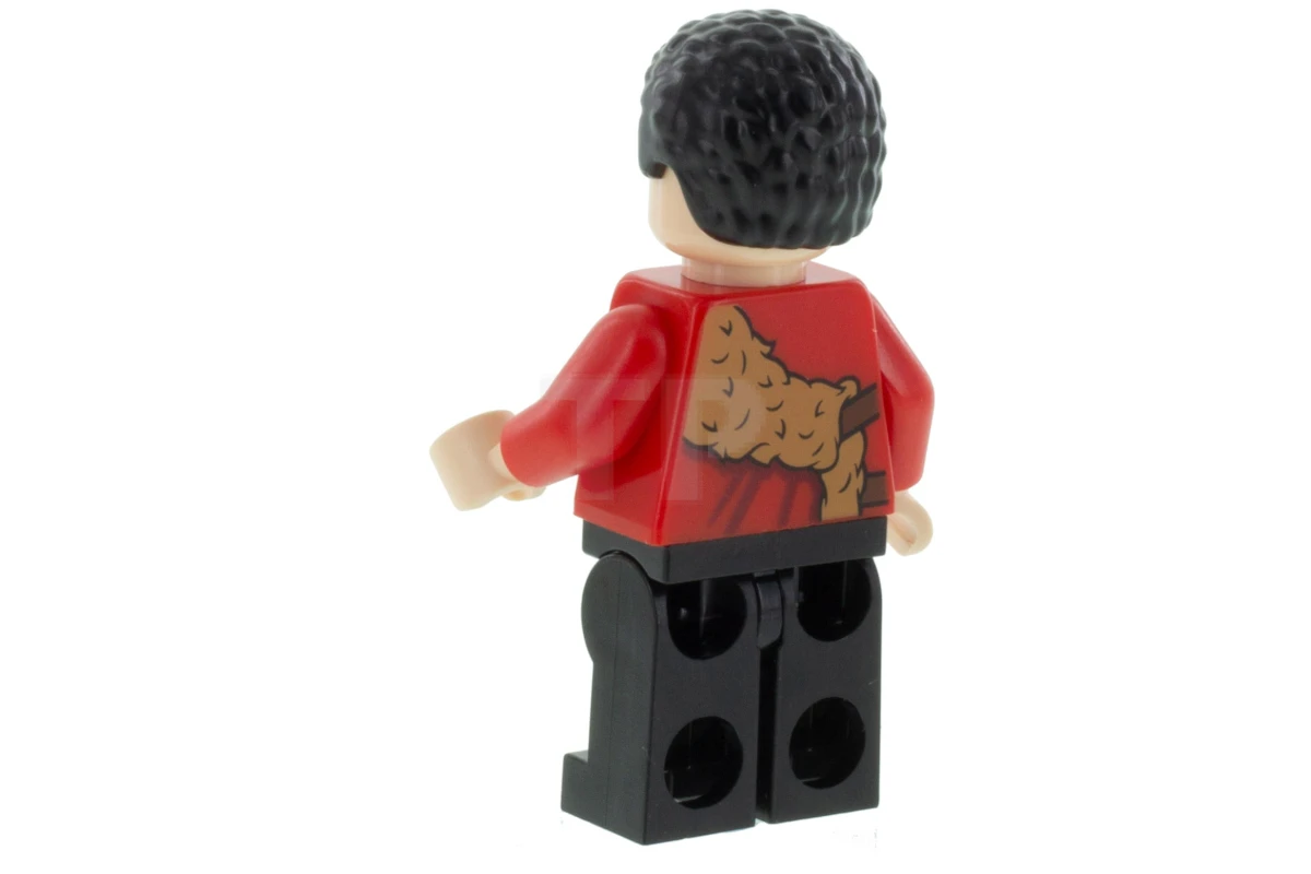 LEGO&reg; hp189 Viktor Krum
