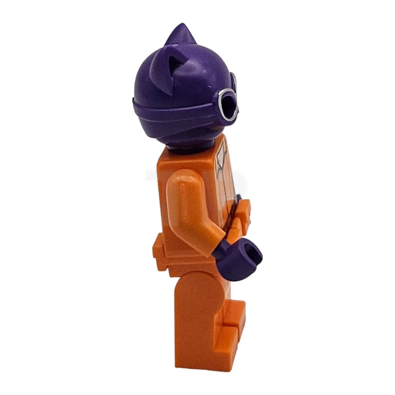 LEGO&reg; sh0338 Catwoman