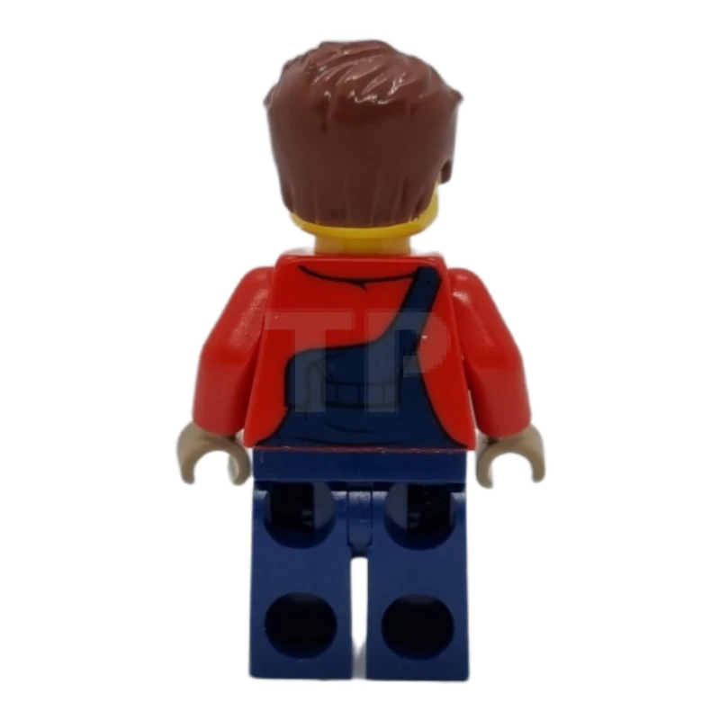 LEGO&reg; cty1095 Harl Hubbs