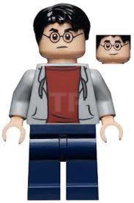 LEGO&reg; hp213 Harry Potter