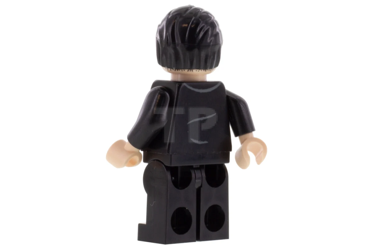 LEGO&reg; hp209 Fenrir Greyback