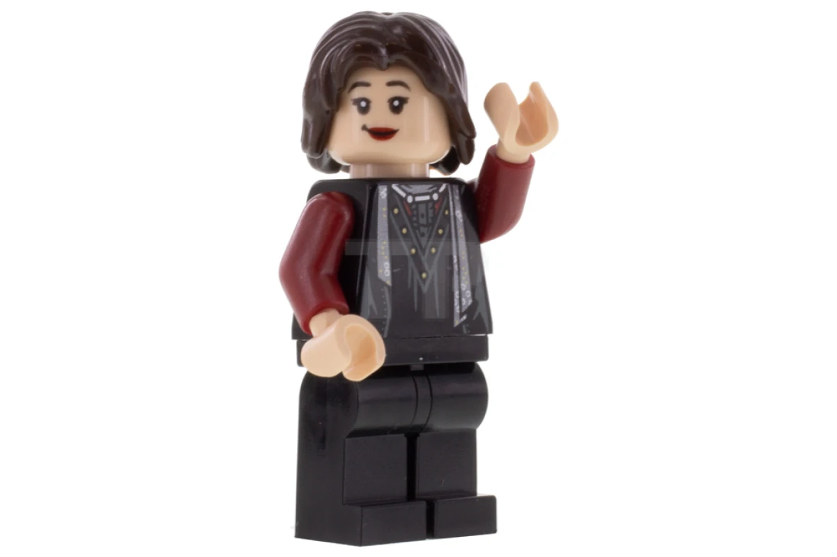 LEGO&reg; hp210 Nymphadora Tonks