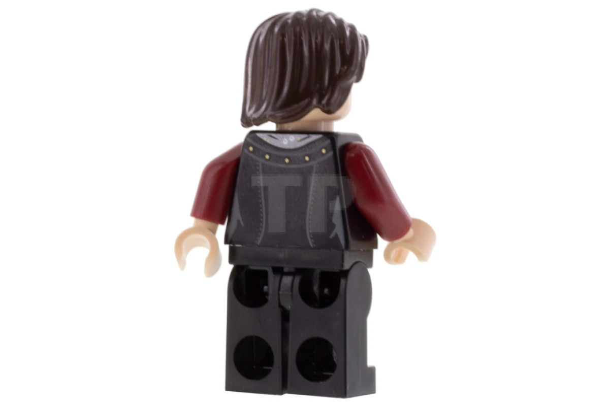 LEGO&reg; hp210 Nymphadora Tonks