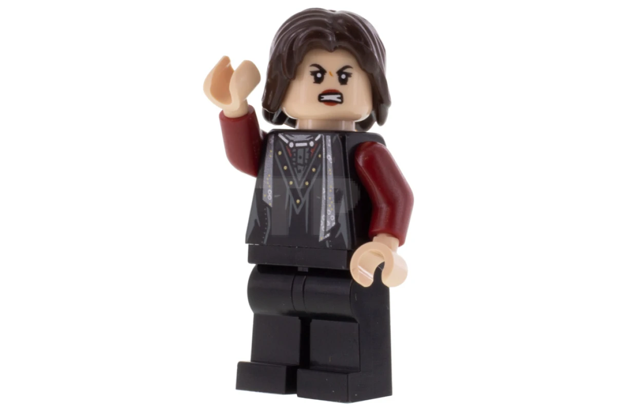 LEGO&reg; hp210 Nymphadora Tonks