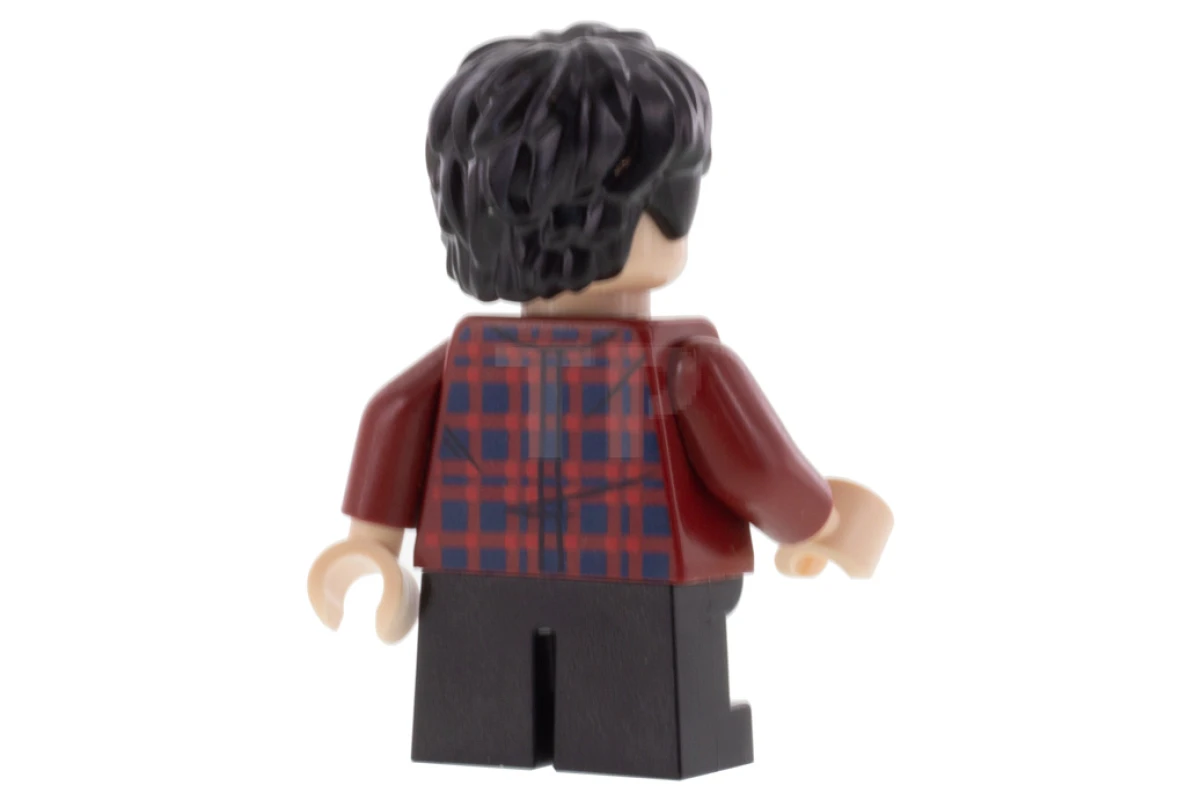 LEGO&reg; hp233 Harry Potter