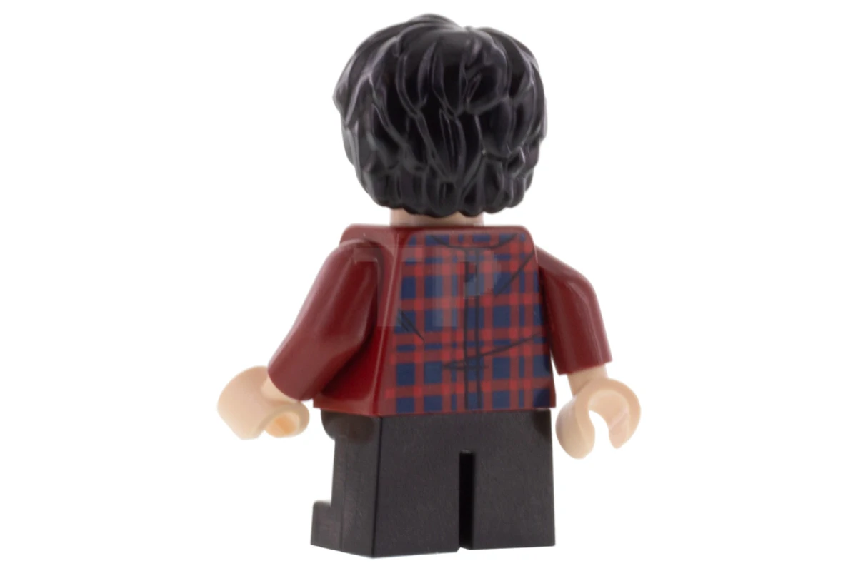LEGO&reg; hp233 Harry Potter