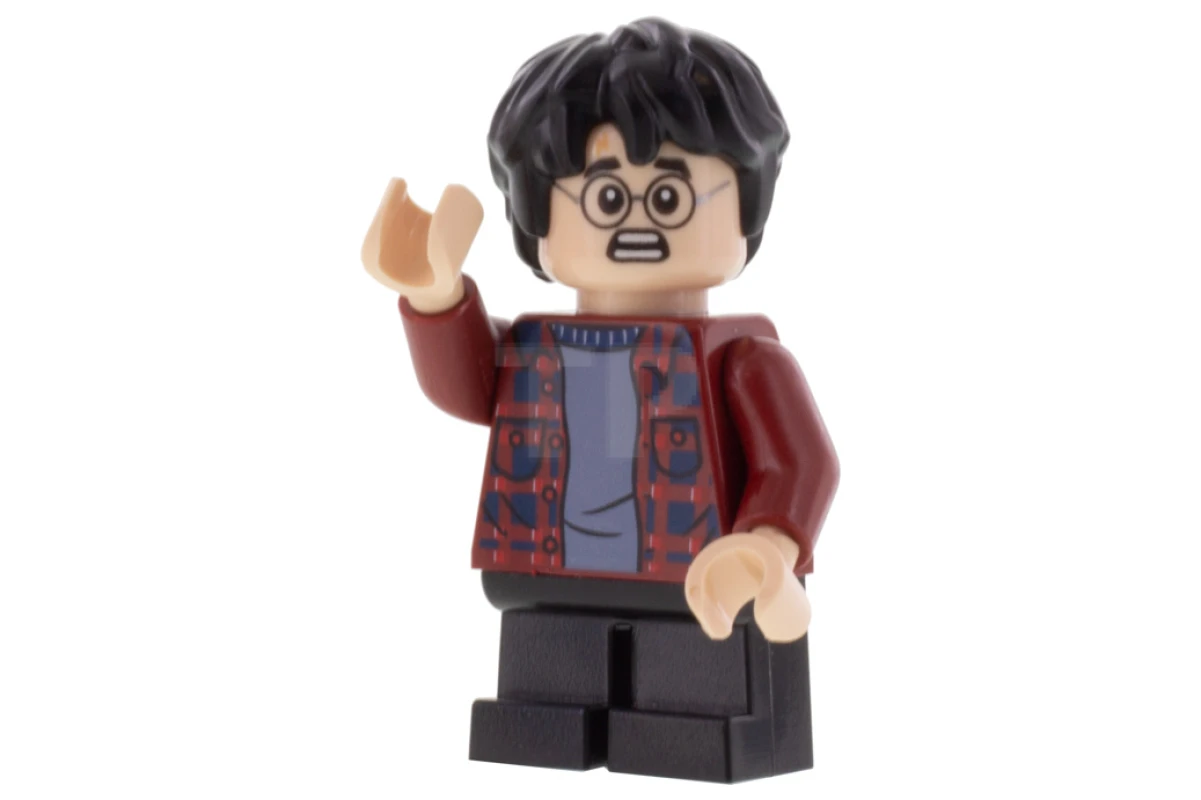 LEGO&reg; hp233 Harry Potter
