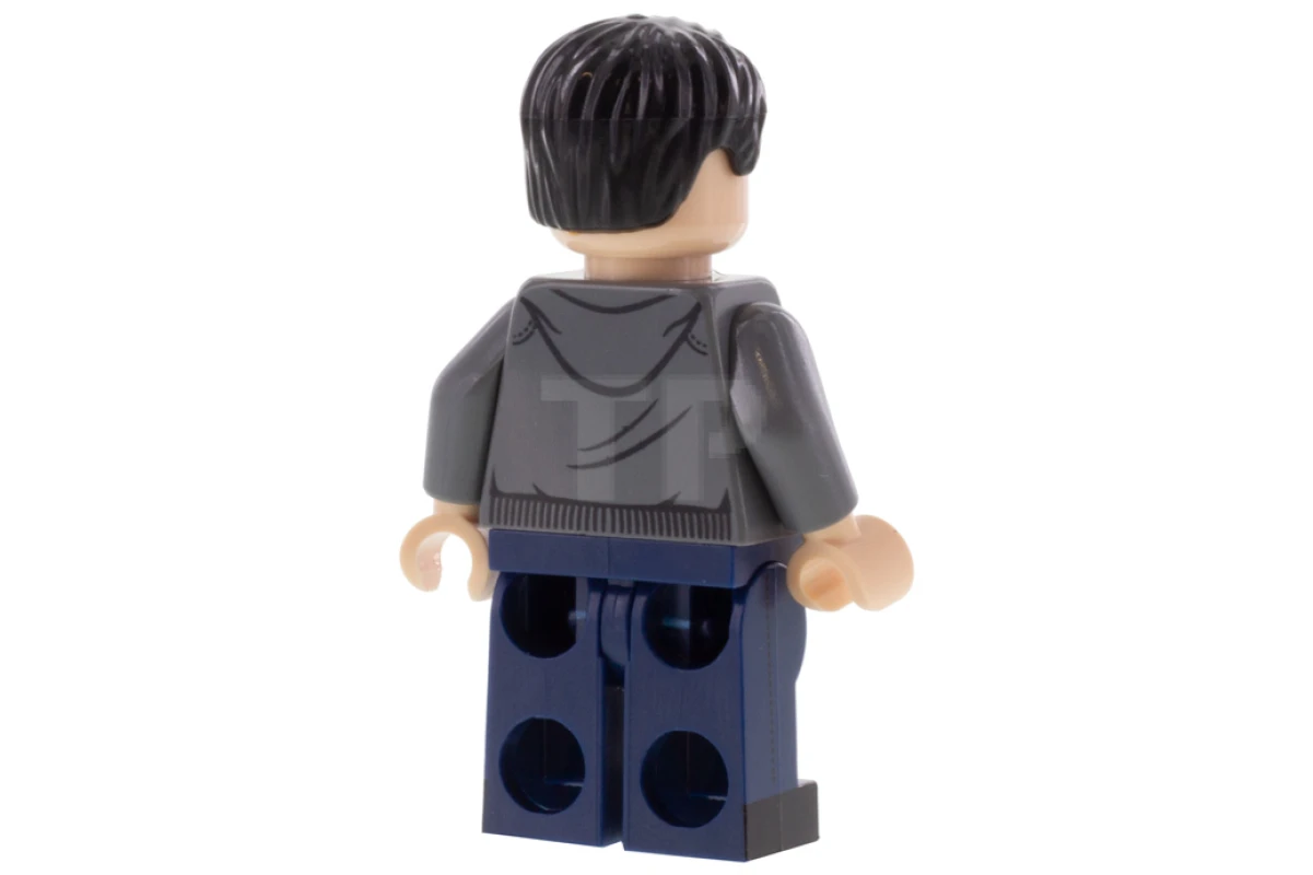 LEGO&reg; colhp23 Harry Potter
